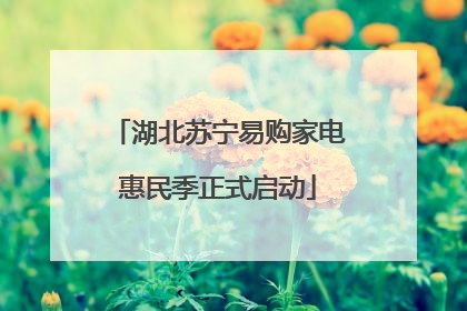 湖北苏宁易购家电惠民季正式启动